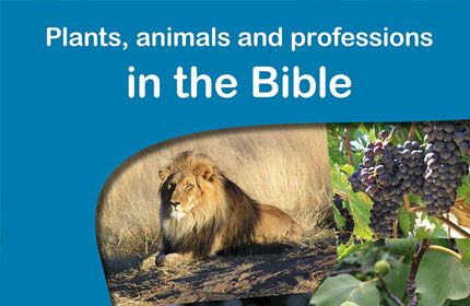 Plants, animals and professions in the Bible