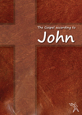 The Gospel according to John (e-book)