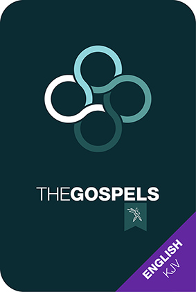 The Gospels (e-book)